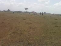 RONGAI03