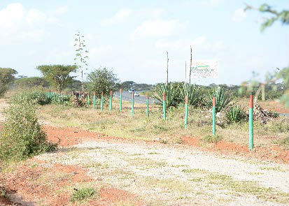 Tumaini Borders the Namanga Road