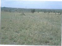 kitengela 1