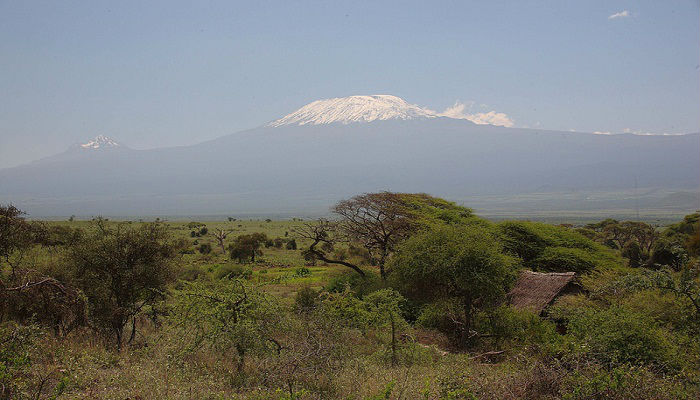 tortilis-camp-amboseli26