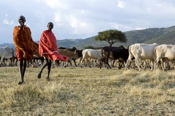 Masai Mara National Reserve