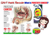 prostate