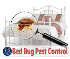 bedbug cntl 1