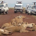 MASAI MARA