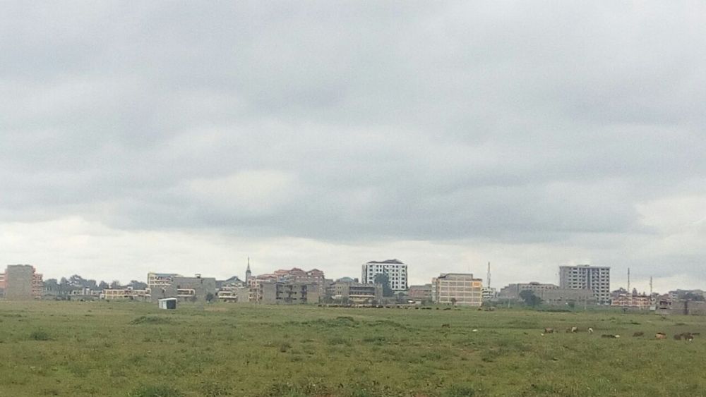 Thika plots 3