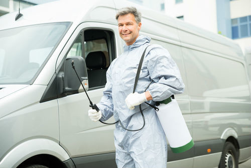 7-useful-tips-on-car-pest-control