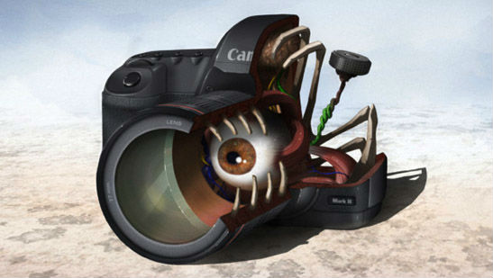 Canon-5D-Mark-II-Basics-Of-Photography