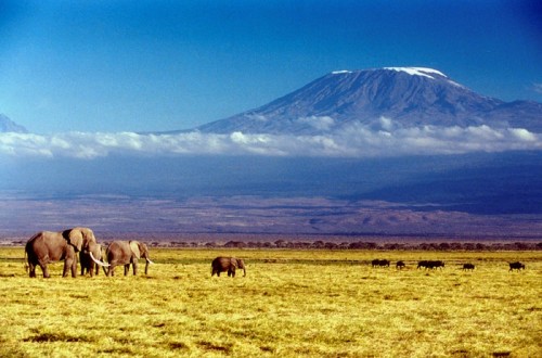 how-to-prepare-for-kilimanjaro
