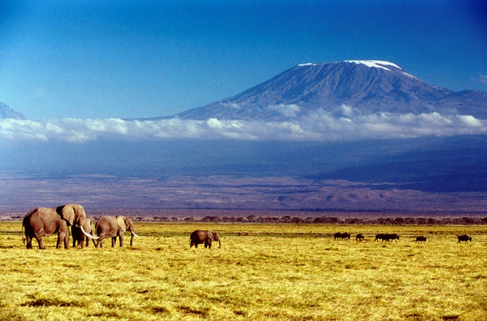 how-to-prepare-for-kilimanjaro