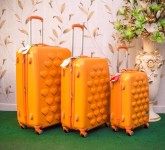 1501410148_tmp_New_Luggage_set_21st_July_17-8