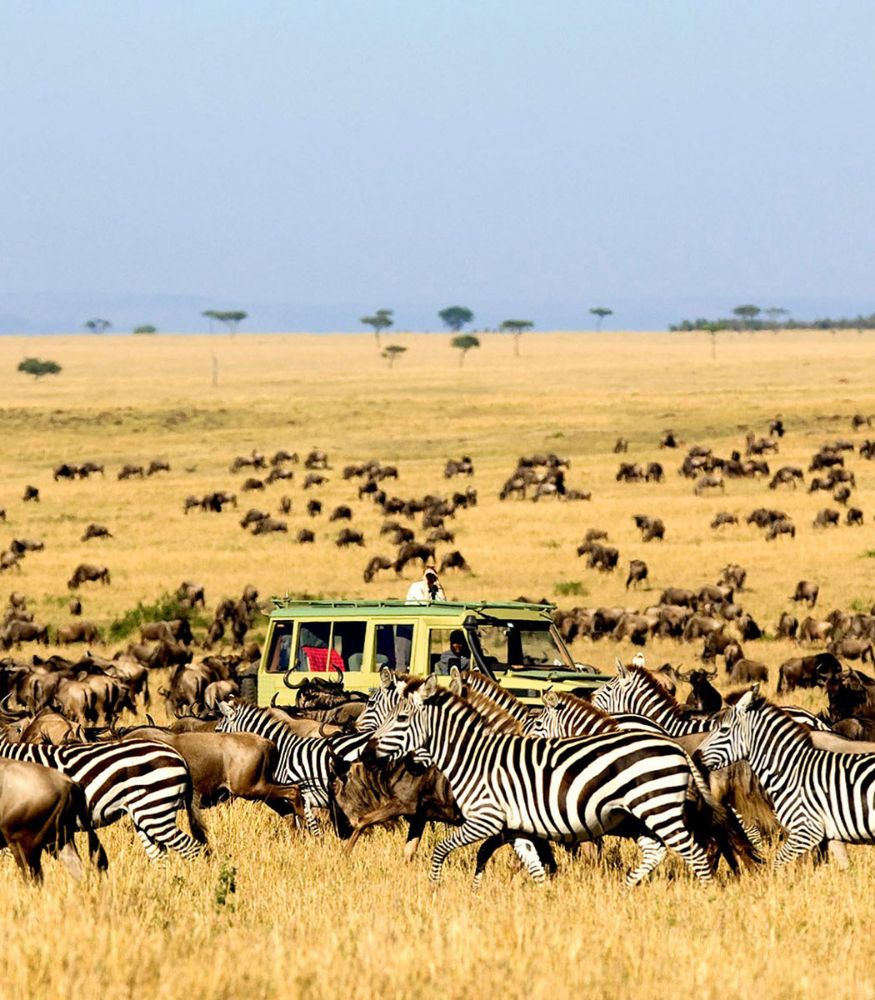 9-Days-Mara-River-Clossing-Safari