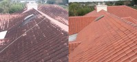 roof-cleaning 1