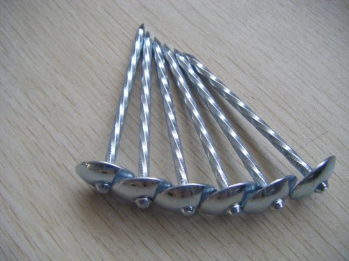 Roofing Nails