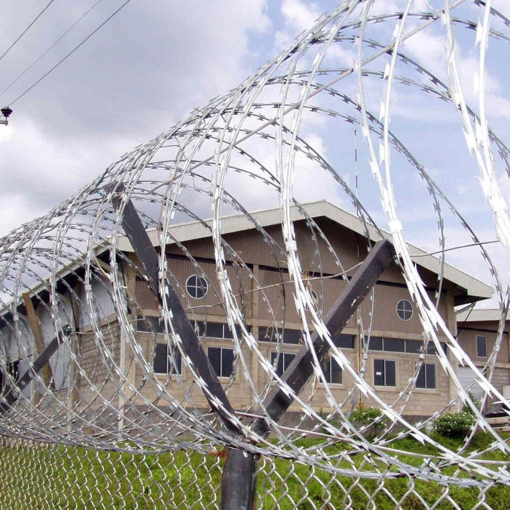 razor wire pic