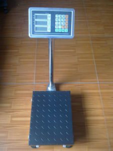 Platform-Scale-Acs-838