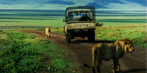 3 days ngorongoro crater safari