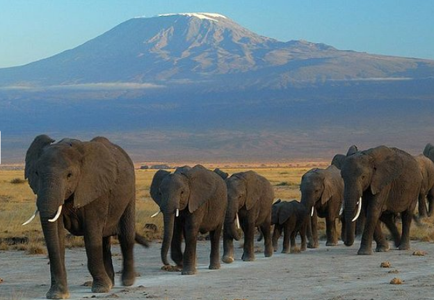 amboseli