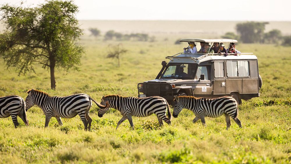 Kenya Flying Tours