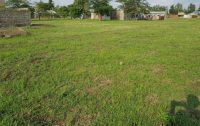 Plots-for-sale-Shalom-Court-Ruiru_2019-07-01-16.32.49-1170x738