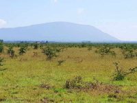 Mwalimu-Farm-50_100-plots-5-1