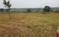 Gated Estate 14 Acre Plots For Sale Along Ruiru Githunguri Road (5)