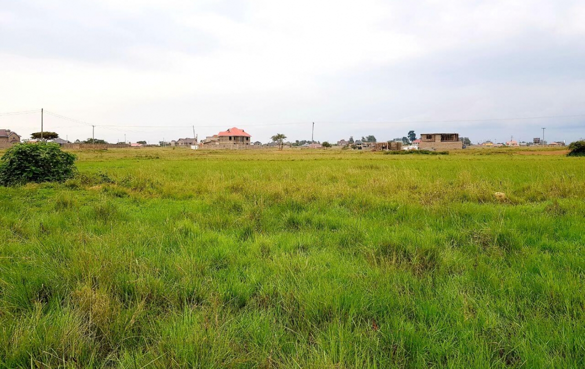 Ngoigwa-Estate-Plot-For-Sale-Thika-1170x738