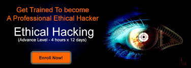 hacker 7
