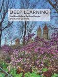 Deep learning adaptive computation and machine learning by Ian Goodfellow, Yoshua Bengio, Aaron Courville  (IG@rkebooks)