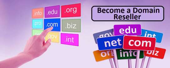 Domain Reseller