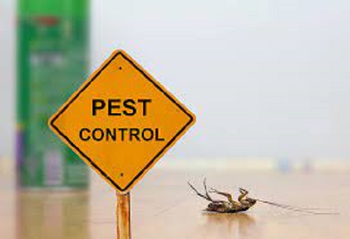 Pest control,