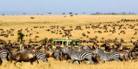 serengeti-national-park